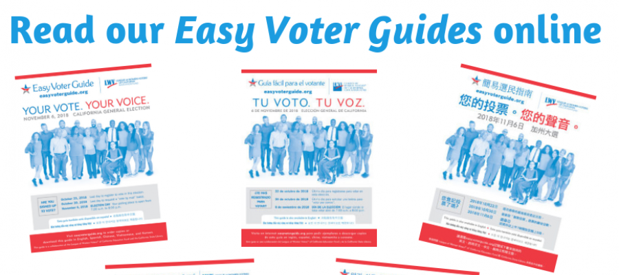 Cpr News Voter Guide _ The Colorado Voter’s Guide To The 2020 Election ...