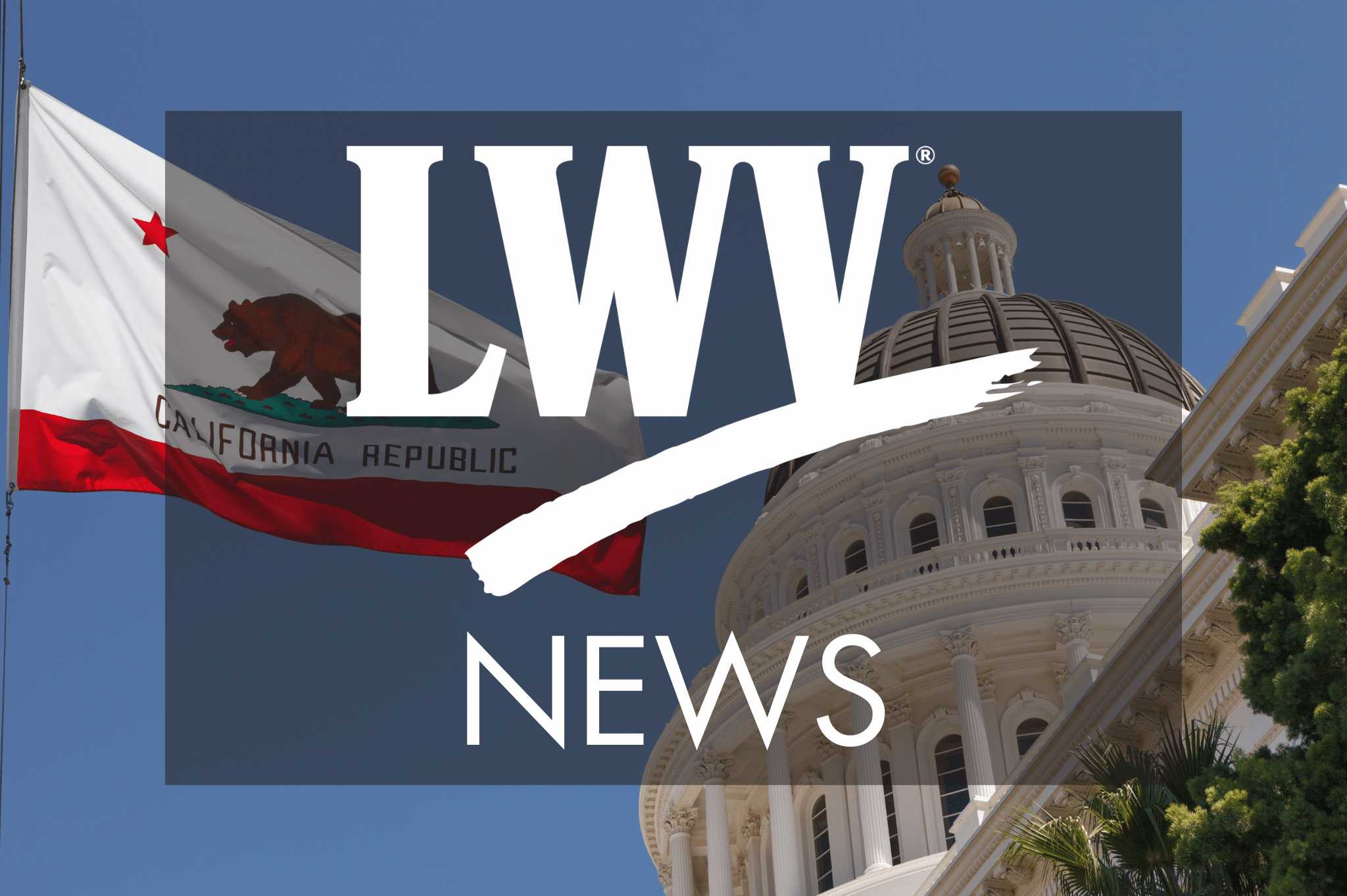 LWVC Executive Director Joins Democratic Leaders to Defend Voting Rights