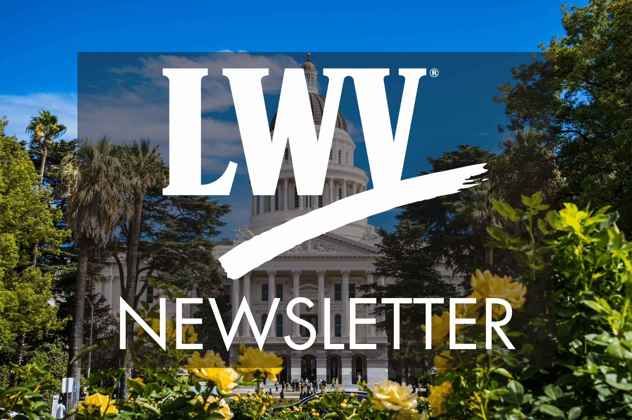 Monthly Highlights for February 2025