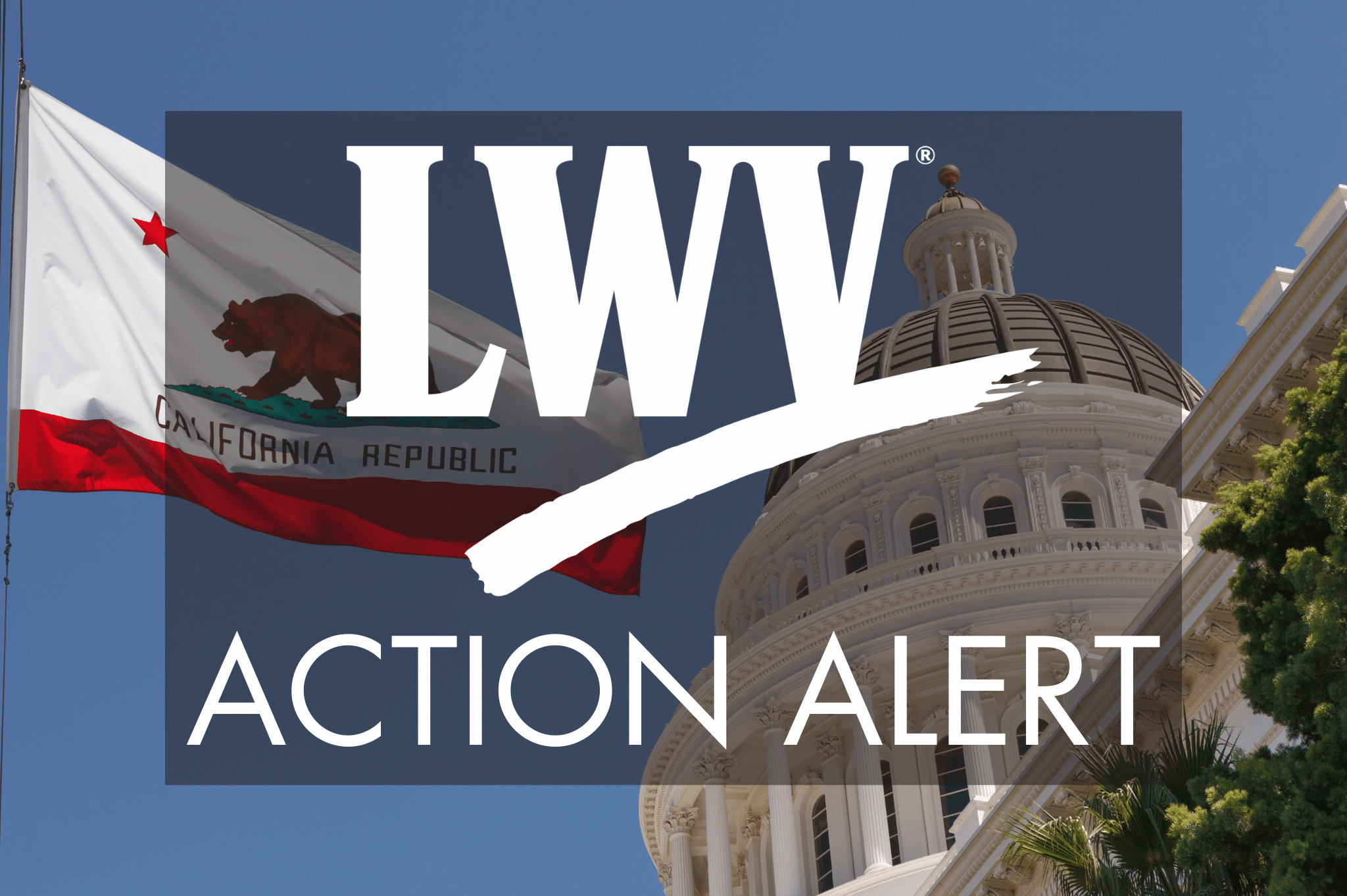 Take Action to Protect Our Constitutional Rights