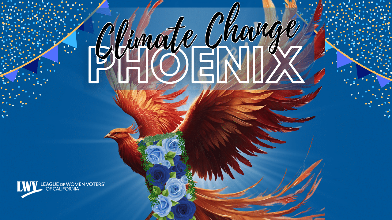 Climate Change Phoenix winning image