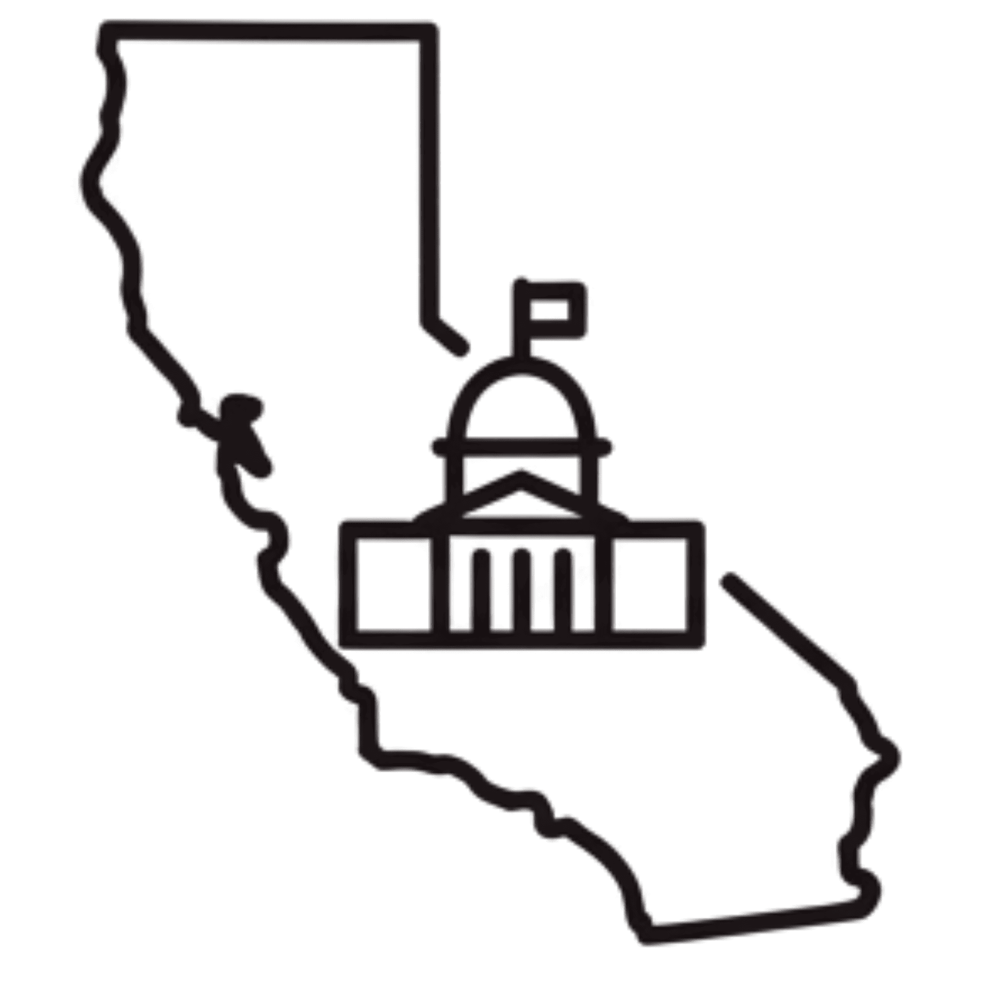 State Elections icon