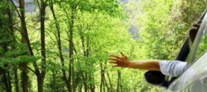 Drive Clean with the League, electric cars, free virtual event, climate change,